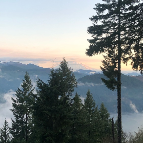 Meet your Posher, Sandra - Picture 1 of 1